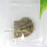 wholesale 100pcs vacuum-packed oyster with 6-7mm rice freshwater pearl